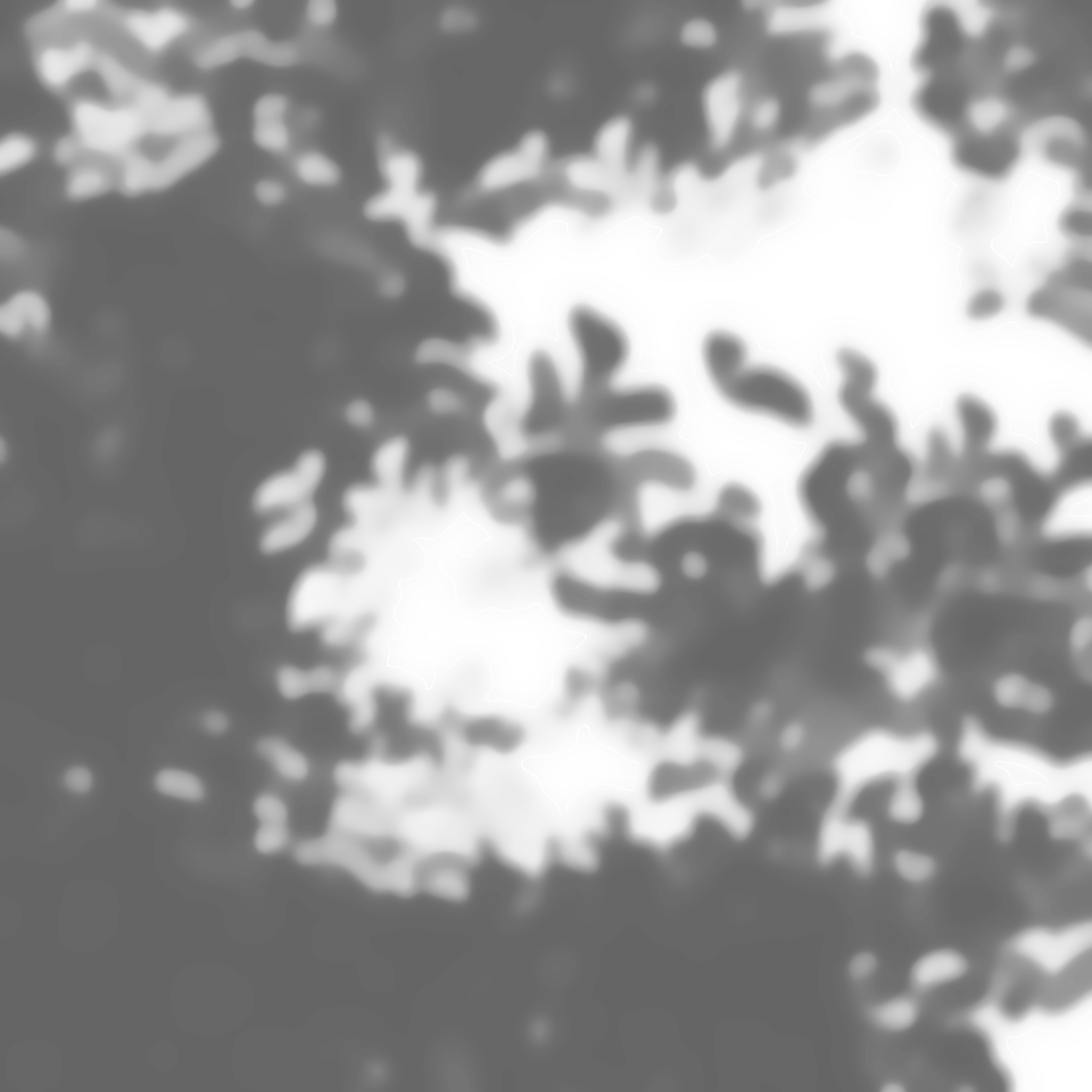 Environmental Shadow Tree